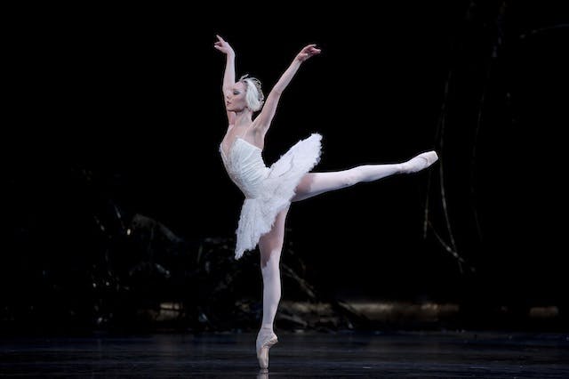 swan lake metropolitan opera house swan lake metropolitan opera house